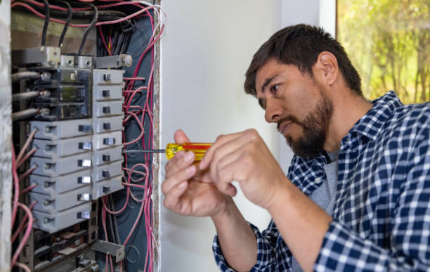 Best Electric Panel Repair  in Pasadena, TX